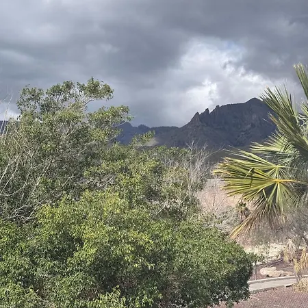 Cosy * Costa Adeje (Tenerife)